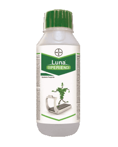 Bayer Luna Experience 250ml