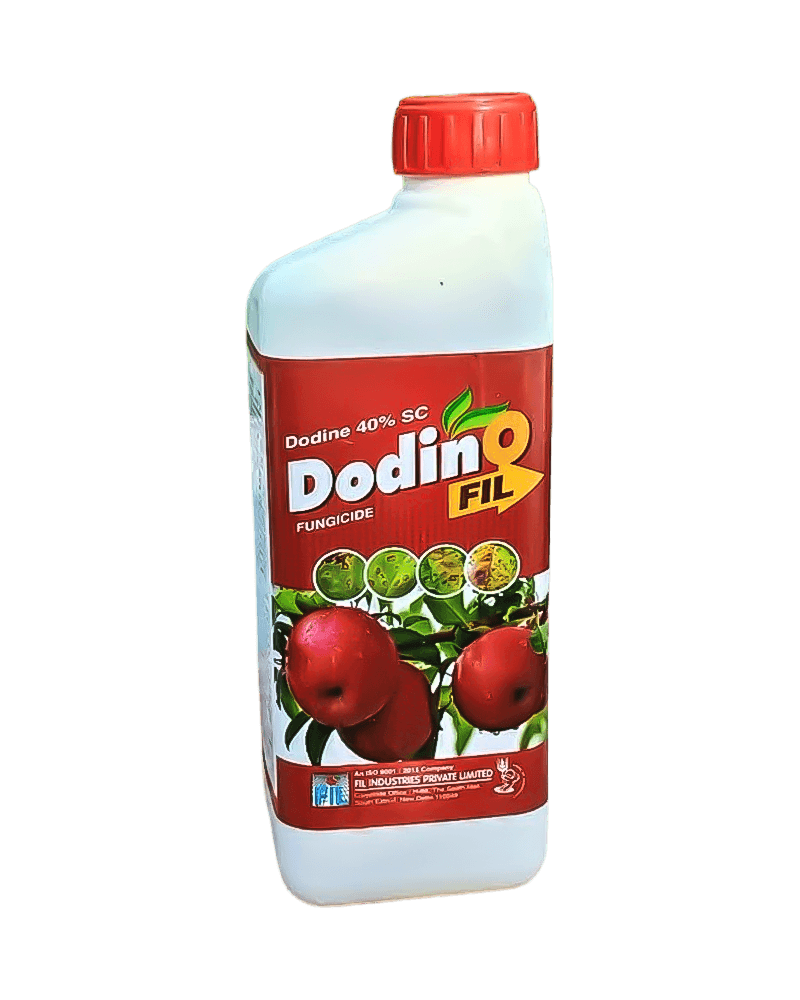 FIL Dodinofil 250ml