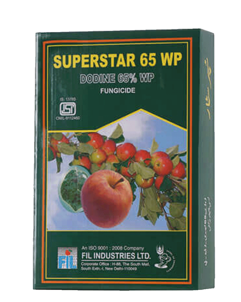 FIL Super Star Fungicide 100gms