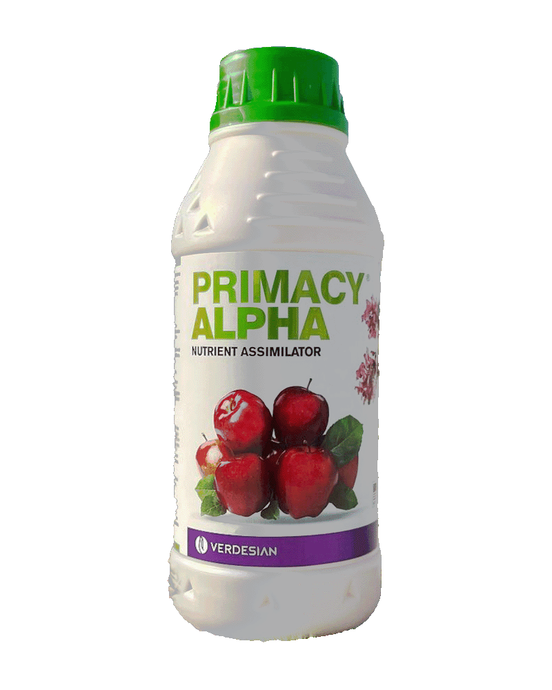 Orchardly Primacy Alpha 1L