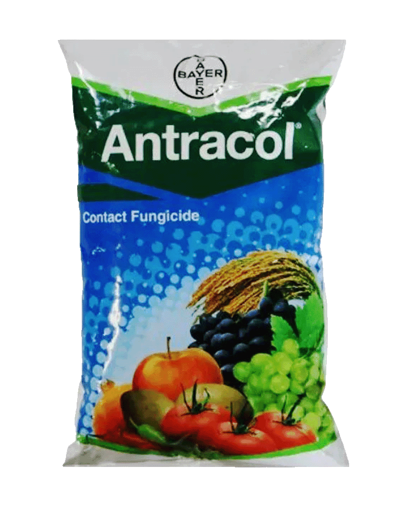 Bayer Antracol 1Kg