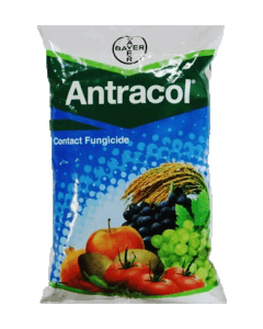 Bayer Antracol 1Kg