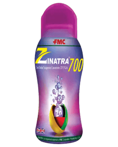 Zinetra