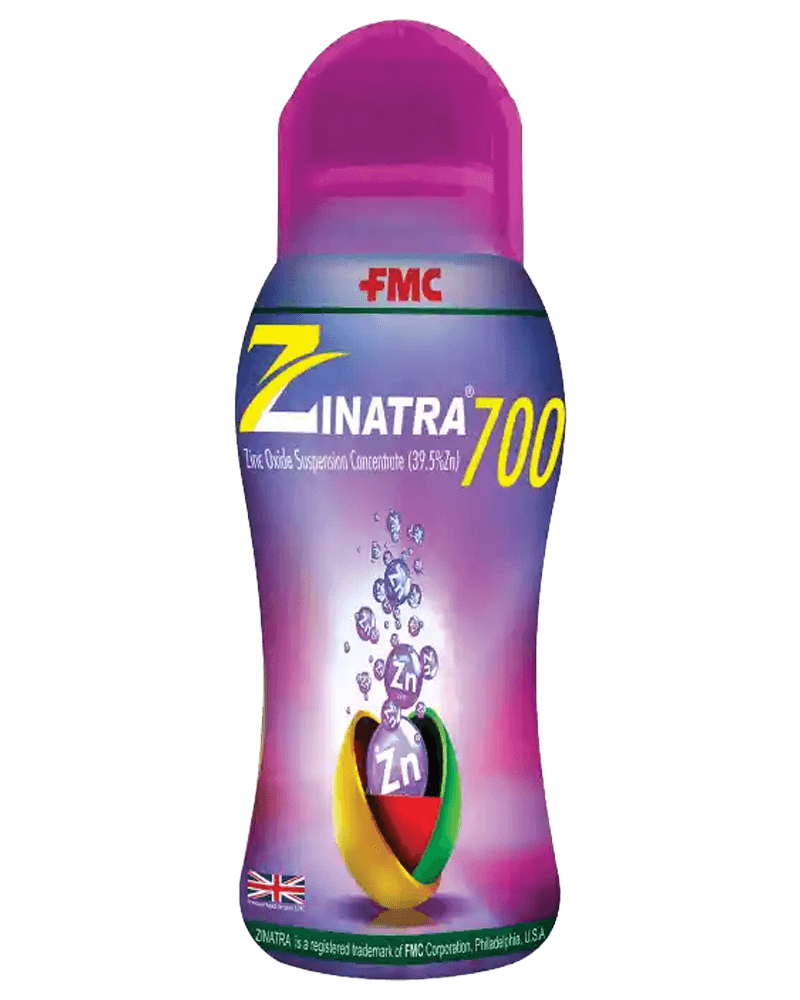 Zinetra