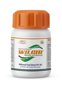 Wilgib GA PGR 5gm