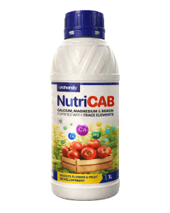 Orchardly Nutricab 500ml