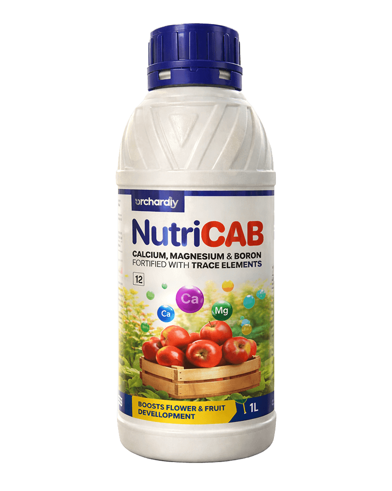 Orchardly Nutricab 500ml