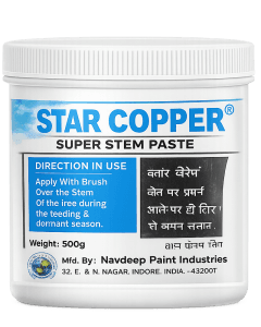 Star Copper Stem Paste 1Kg