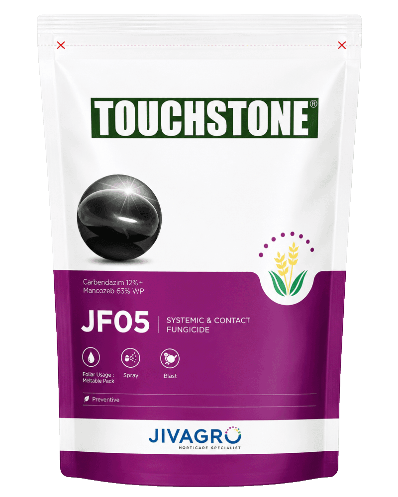 Touchstone Fungicide  1KG