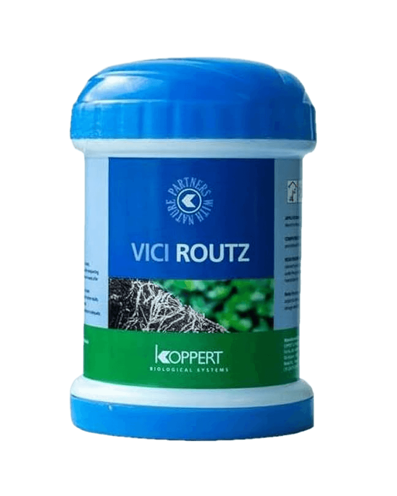 Vici Routz 3kg