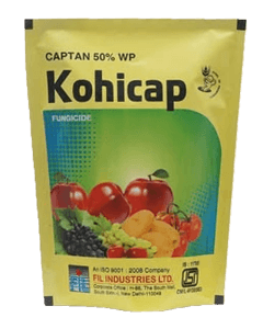FIL Kohicap 1kg