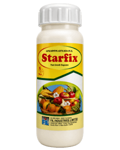 FIL Starfix 100ml