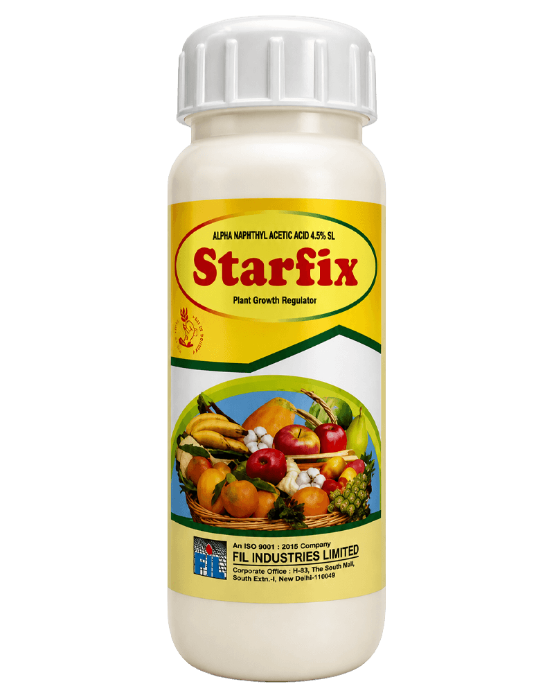 FIL Starfix 100ml