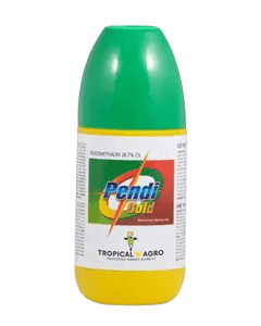 Pendi Gold 250ml