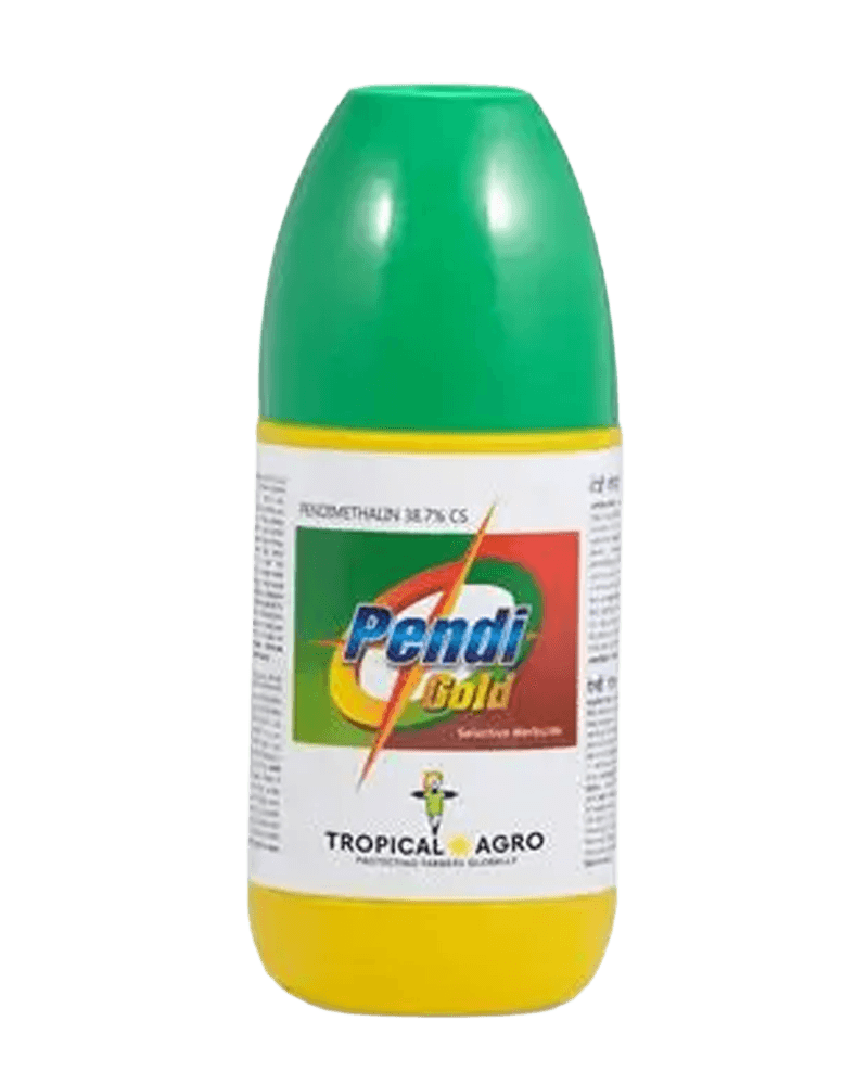Pendi Gold 250ml